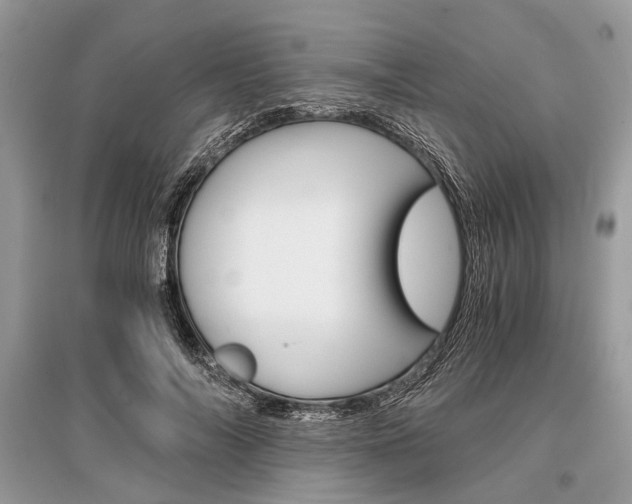 X0000096380694200801241003