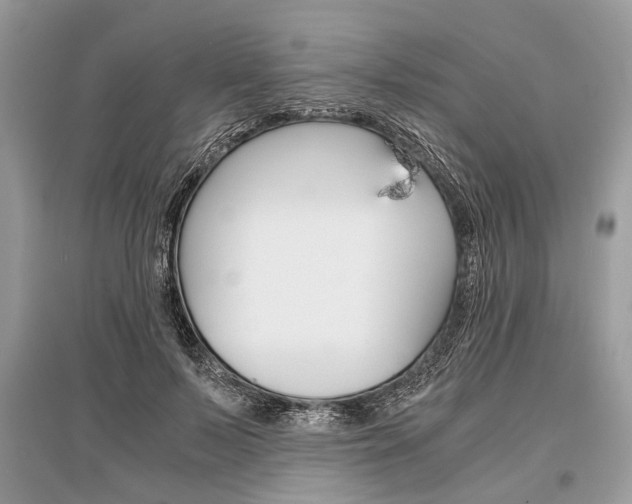 X0000096380695200801241003