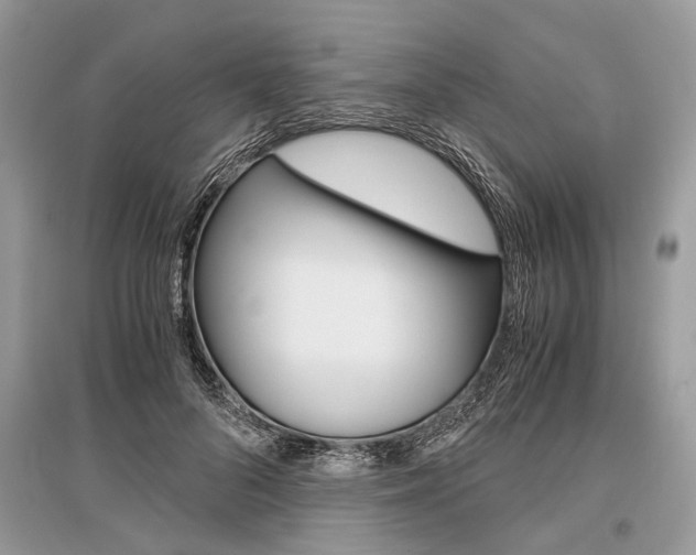 X0000096380696200801241003