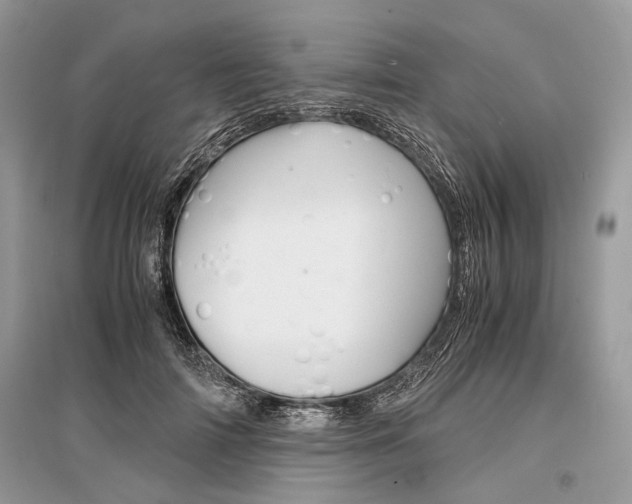 X0000096380698200801241003