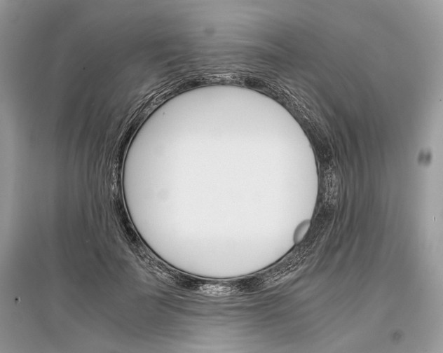 X0000096380699200801241003