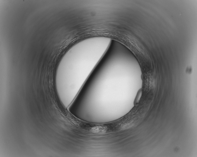 X0000096380700200801241003