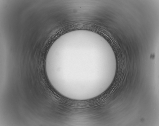 X0000096380701200801241003