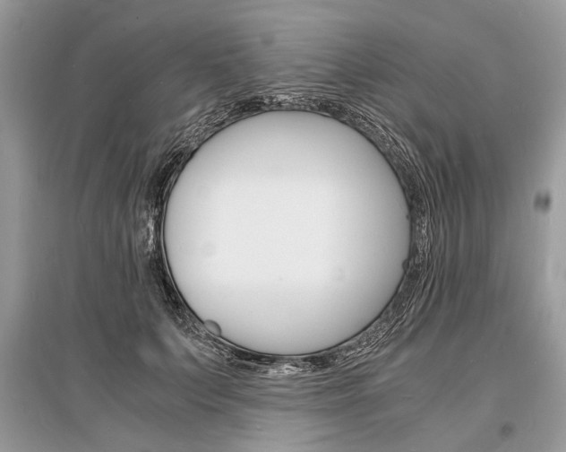 X0000096380703200801241003