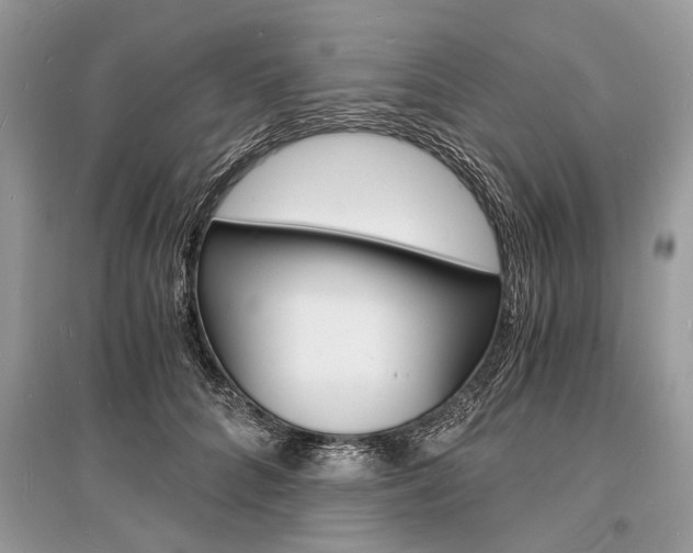 X0000096380704200801241003