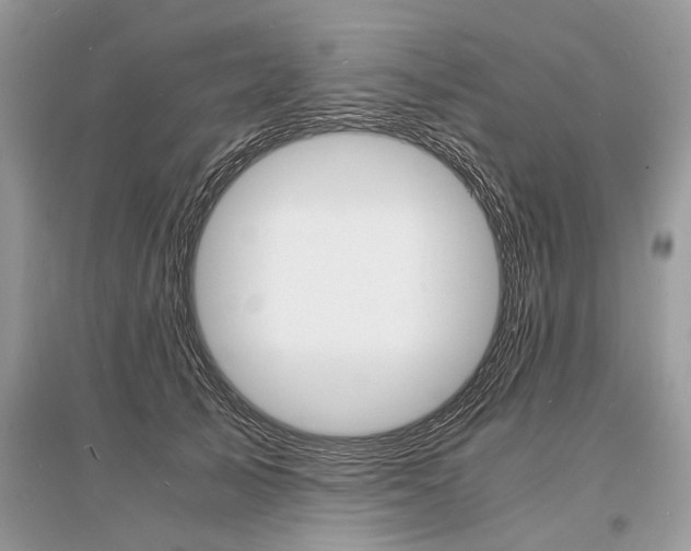 X0000096380705200801241003