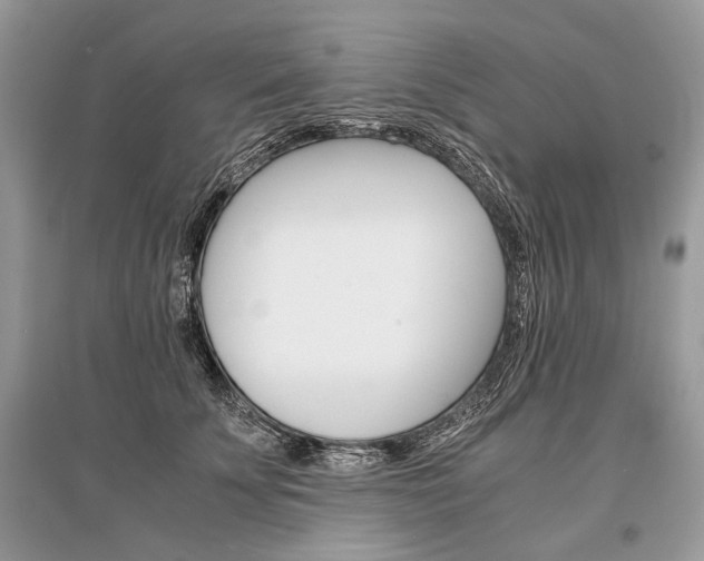 X0000096380707200801241003