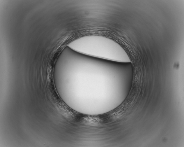 X0000096380712200801241003