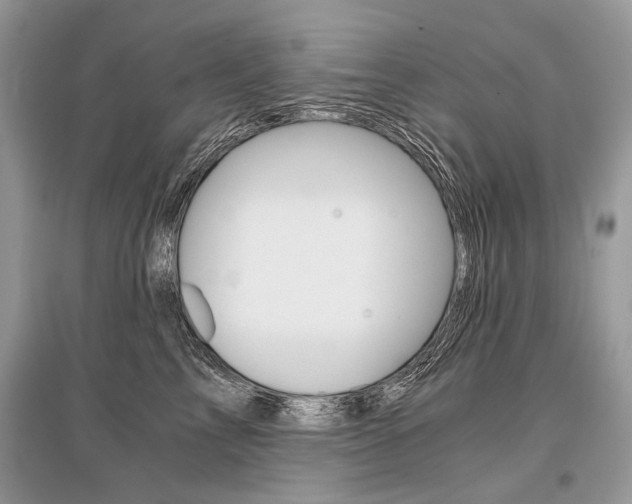 X0000096380713200801241003