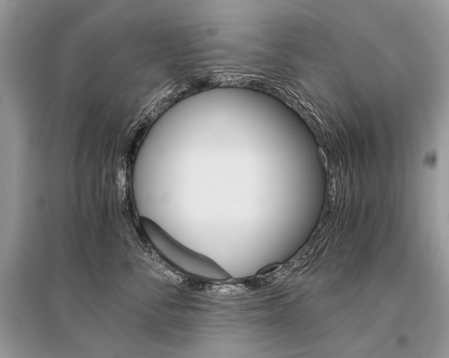 X0000096380716200801241003