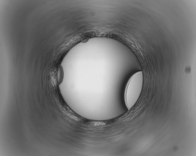 X0000096380719200801241003