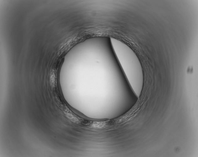 X0000096380720200801241003