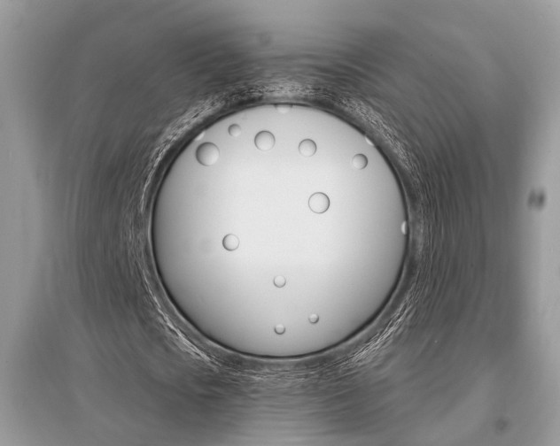 X0000096380721200801241002