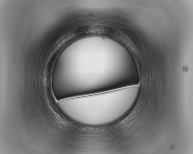 X0000096380722200801241002