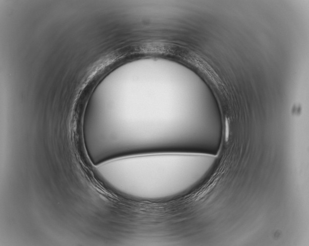 X0000096380723200801241002