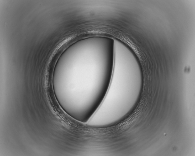 X0000096380724200801241002