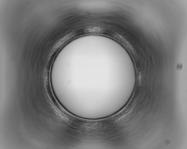 X0000096380725200801241002