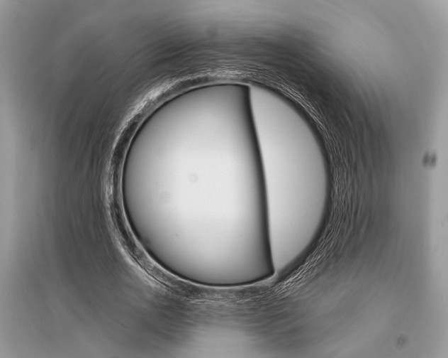 X0000096380726200801241002