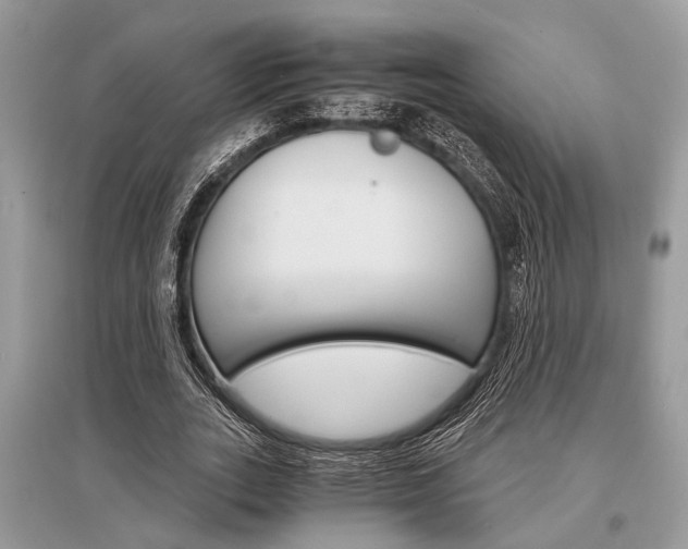 X0000096380727200801241002
