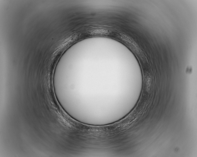 X0000096380729200801241002
