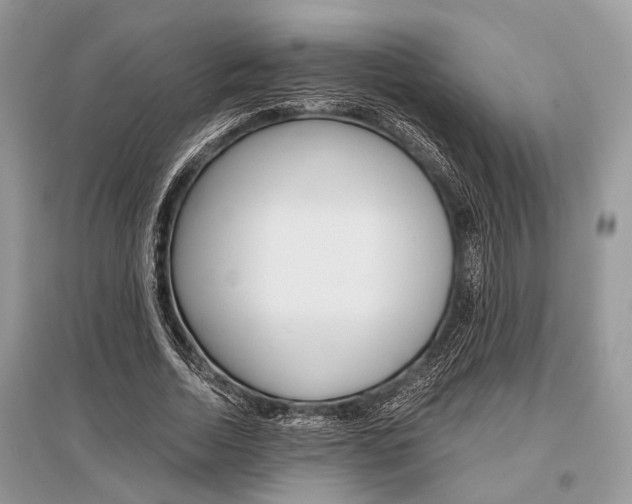 X0000096380730200801241002