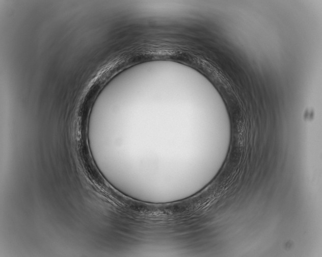X0000096380731200801241002