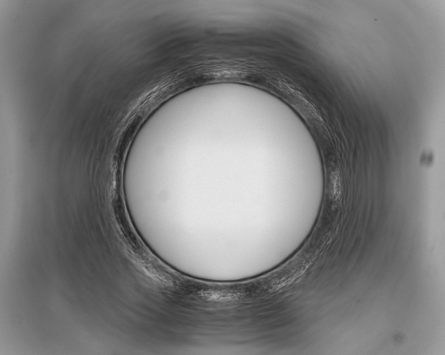 X0000096380733200801241002