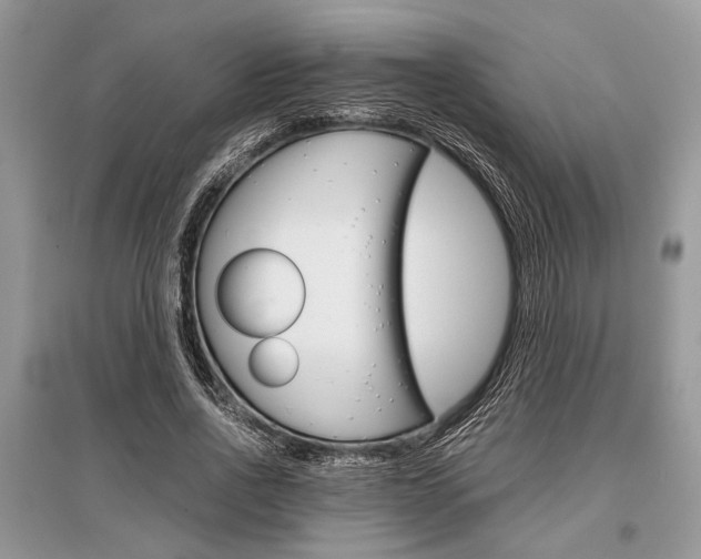 X0000096380734200801241002