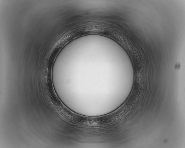 X0000096380735200801241002