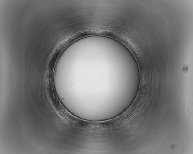 X0000096380736200801241002
