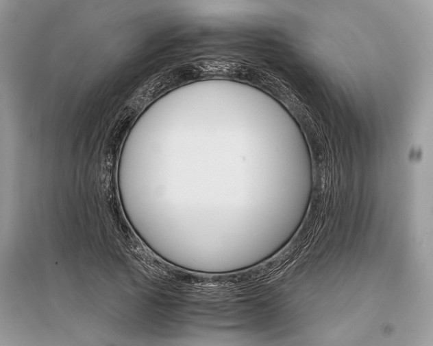 X0000096380737200801241002