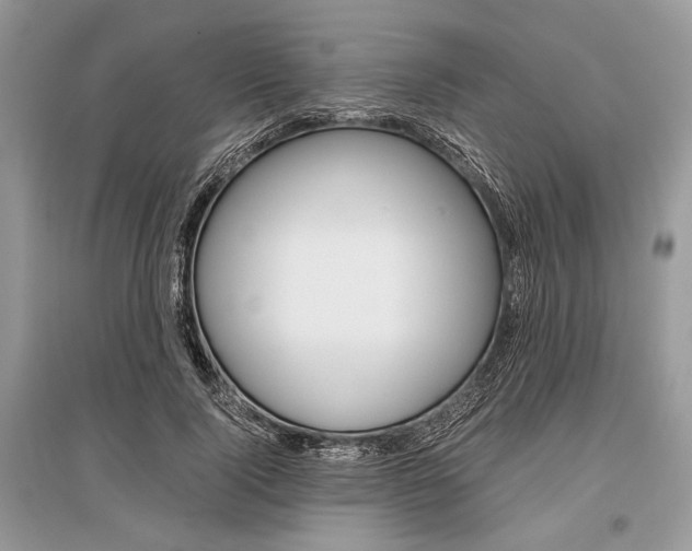 X0000096380740200801241003