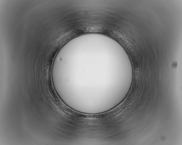 X0000096380741200801241003