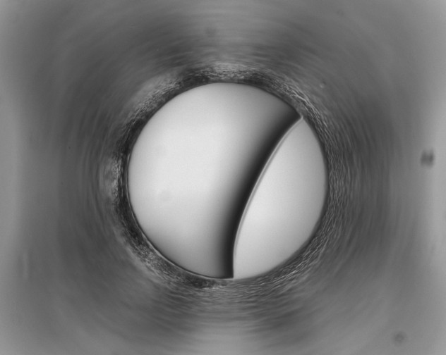X0000096380742200801241003