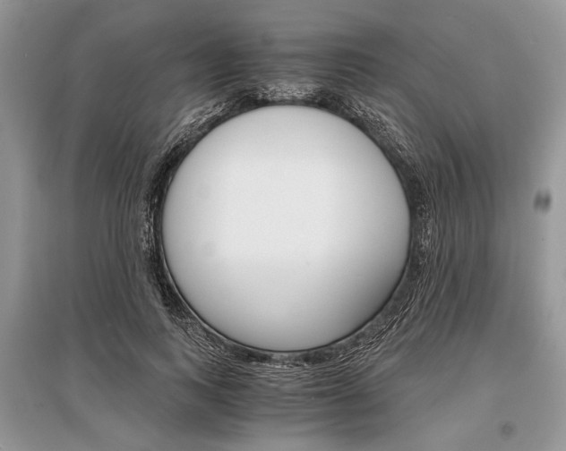 X0000096380743200801241003