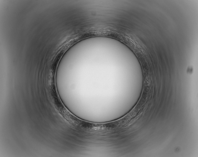 X0000096380744200801241003