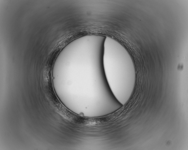 X0000096380746200801241003