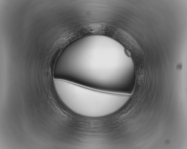 X0000096380748200801241003