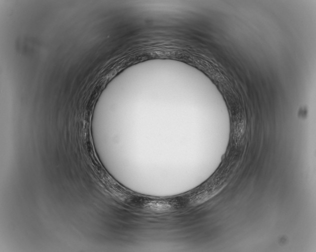 X0000096380749200801241003