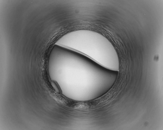 X0000096380750200801241003