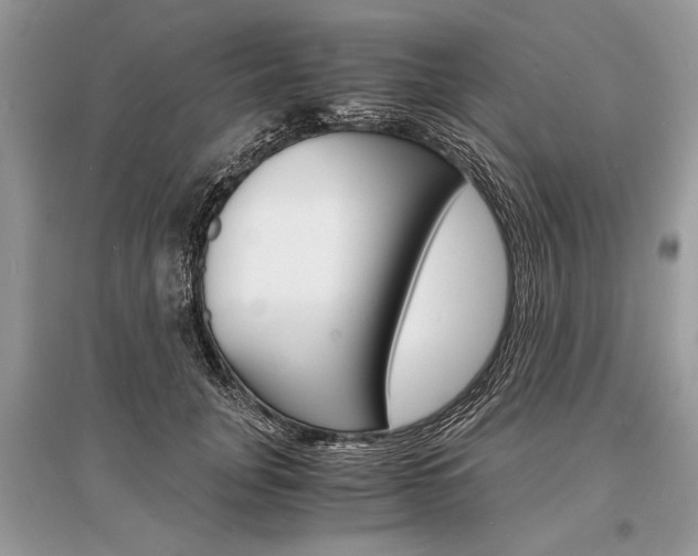 X0000096380751200801241003