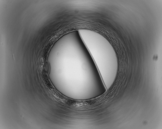 X0000096380752200801241003