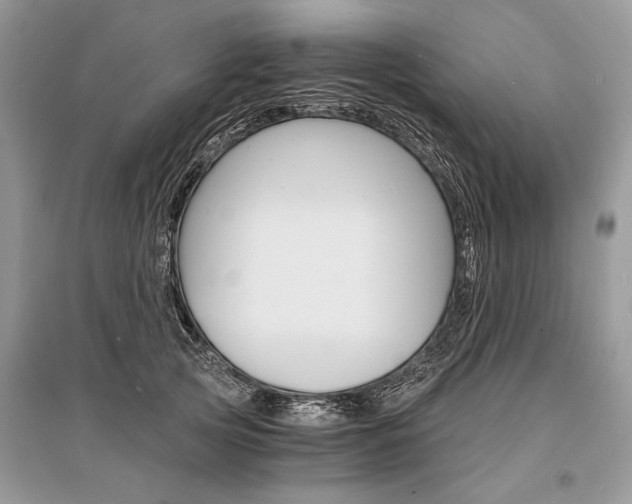 X0000096380753200801241003