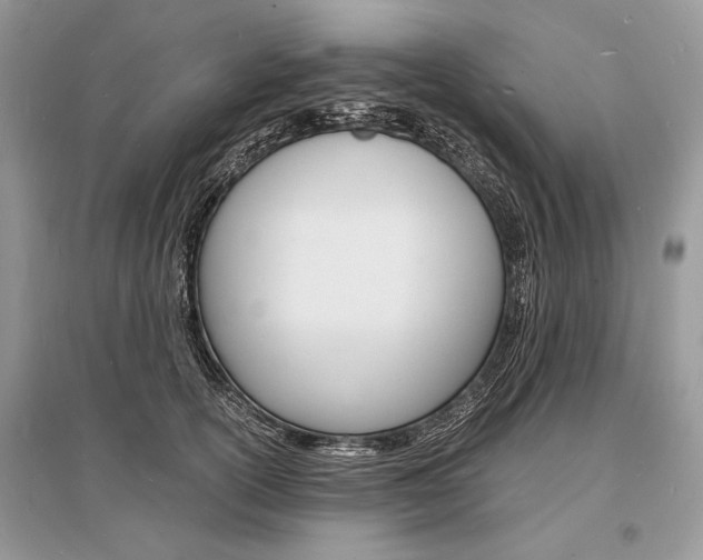 X0000096380754200801241003