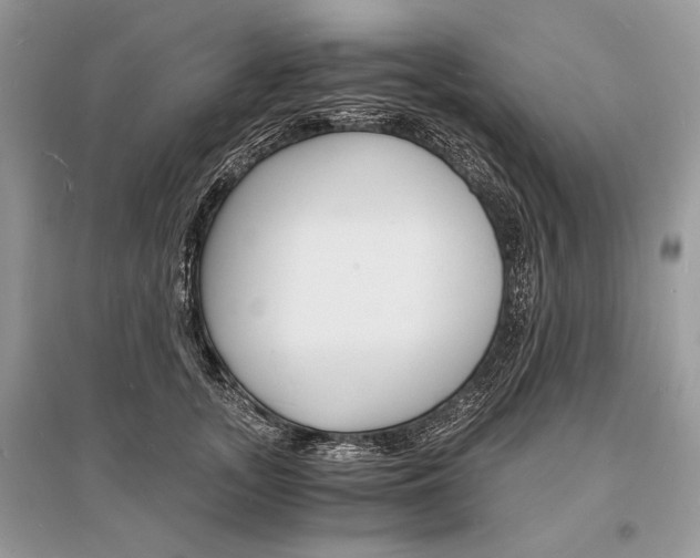 X0000096380755200801241003