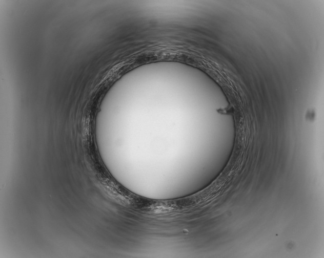 X0000096380756200801241003