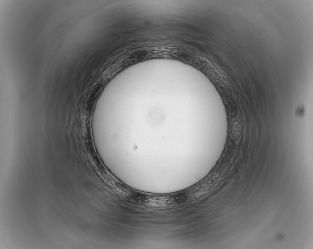 X0000096380757200801241003