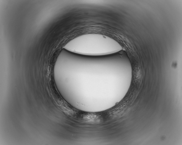 X0000096380759200801241003