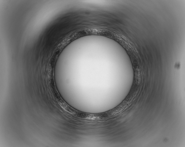 X0000096380760200801241003