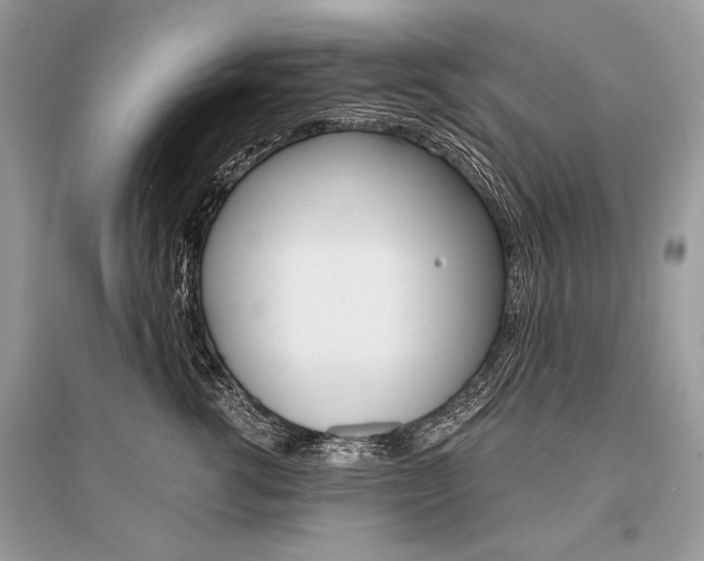 X0000096380762200801241003